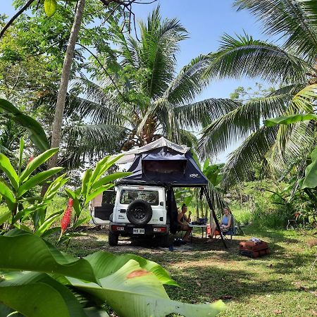 La Munequita Lodge 1 - Culture & Nature Experience Palmar Norte エクステリア 写真