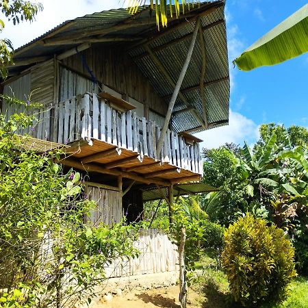 La Munequita Lodge 1 - Culture & Nature Experience Palmar Norte エクステリア 写真