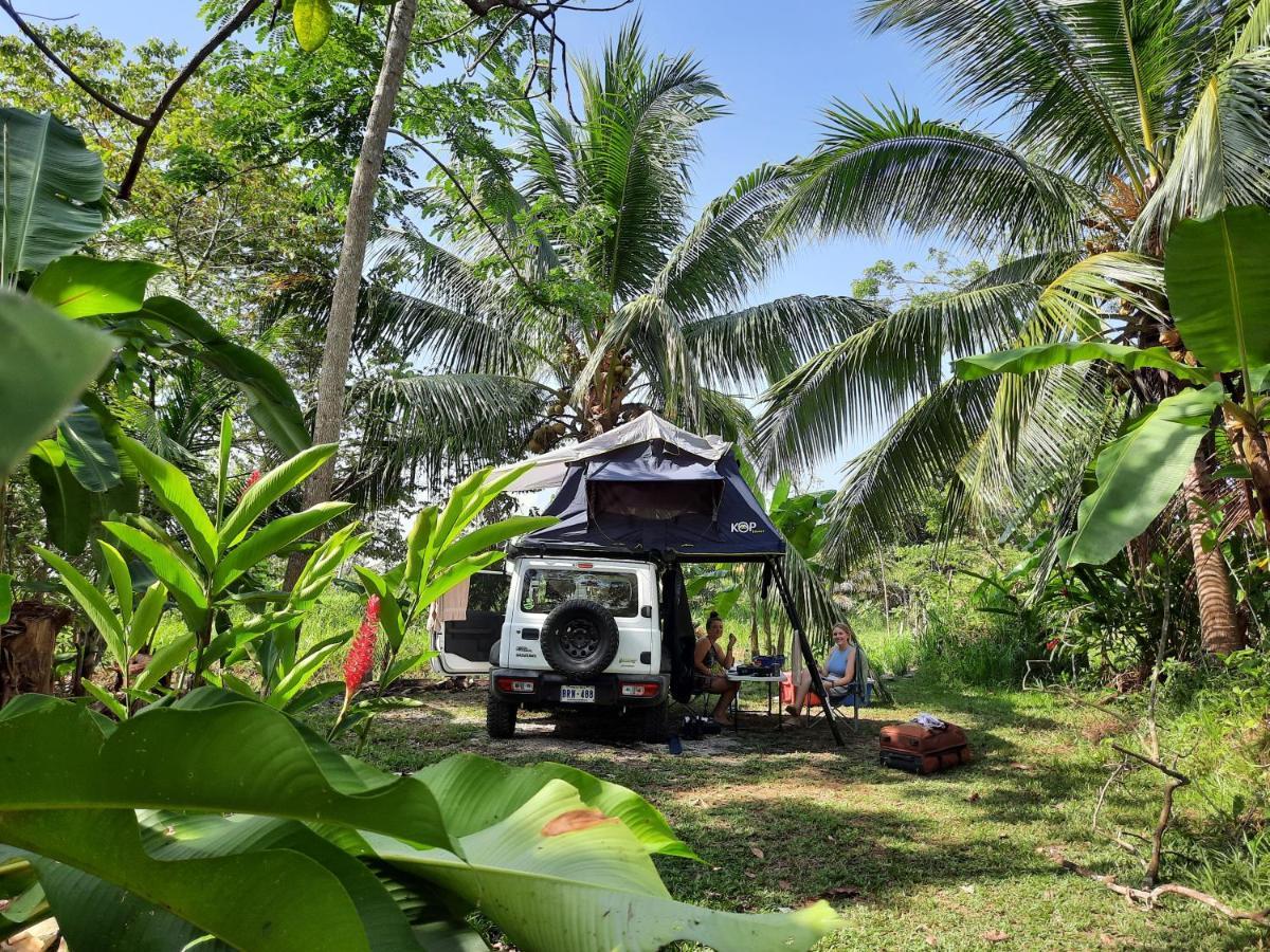 La Munequita Lodge 1 - Culture & Nature Experience Palmar Norte エクステリア 写真