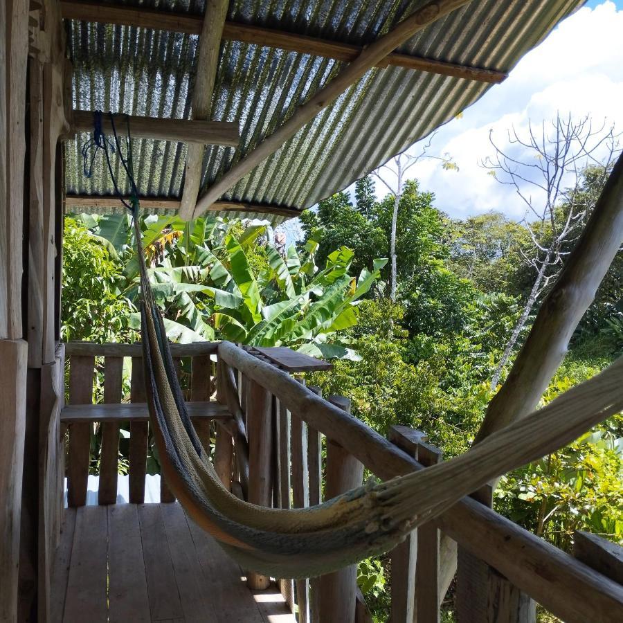 La Munequita Lodge 1 - Culture & Nature Experience Palmar Norte エクステリア 写真